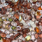 Caramel Dust Mixed Pointed Back Crystal Glass Rhinestones for Nails Arts and DIY