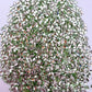 Luxe 2x4mm Marquise Shape Flat Back Crystal Glass Rhinestone